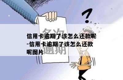 信用卡逾期了该怎么还款呢-信用卡逾期了该怎么还款呢图片