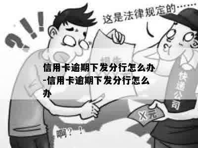 信用卡逾期下发分行怎么办-信用卡逾期下发分行怎么办