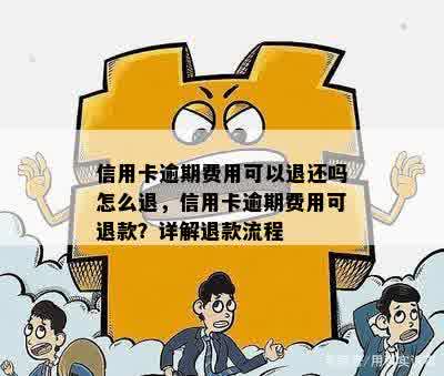 信用卡逾期费用可以退还吗怎么退，信用卡逾期费用可退款？详解退款流程