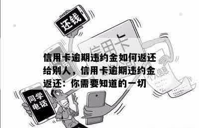 信用卡逾期违约金如何返还给别人，信用卡逾期违约金返还：你需要知道的一切