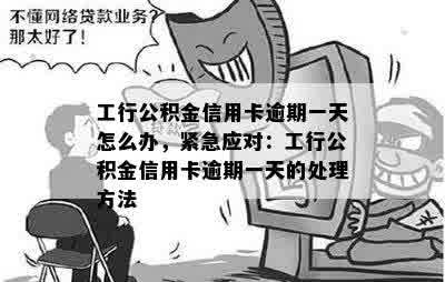 工行公积金信用卡逾期一天怎么办，紧急应对：工行公积金信用卡逾期一天的处理方法