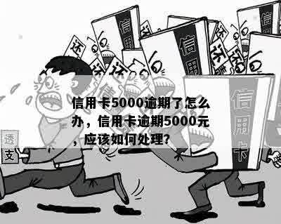 信用卡5000逾期了怎么办，信用卡逾期5000元，应该如何处理？