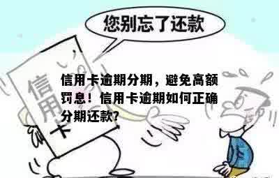 信用卡逾期分期，避免高额罚息！信用卡逾期如何正确分期还款？