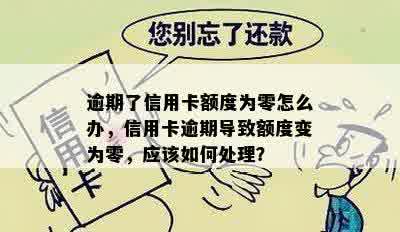 逾期了信用卡额度为零怎么办，信用卡逾期导致额度变为零，应该如何处理？