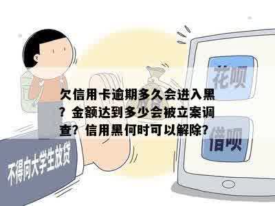 欠信用卡逾期多久会进入黑？金额达到多少会被立案调查？信用黑何时可以解除？