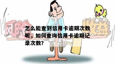 怎么能查到信用卡逾期次数呢，如何查询信用卡逾期记录次数？