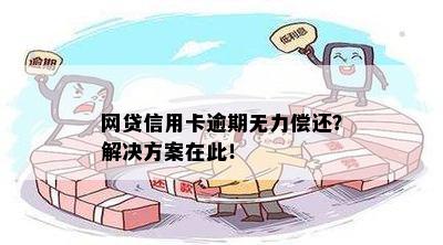 网贷信用卡逾期无力偿还？解决方案在此！