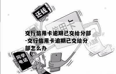 交行信用卡逾期已交给分部-交行信用卡逾期已交给分部怎么办