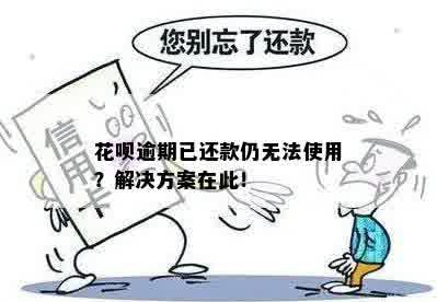 花呗逾期已还款仍无法使用？解决方案在此！