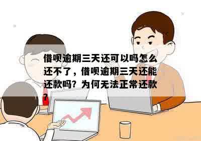 借呗逾期三天还可以吗怎么还不了，借呗逾期三天还能还款吗？为何无法正常还款？