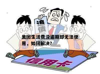 美团生活费没逾期却无法使用，如何解决？