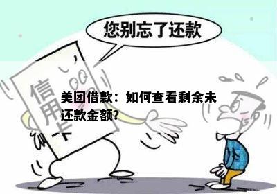 美团借款：如何查看剩余未还款金额？