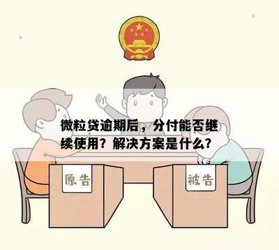 微粒贷逾期后，分付能否继续使用？解决方案是什么？