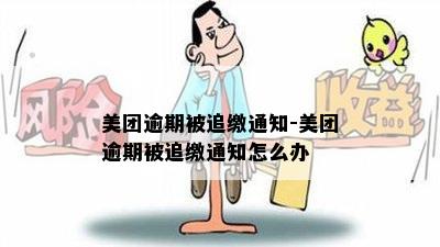 美团逾期被追缴通知-美团逾期被追缴通知怎么办