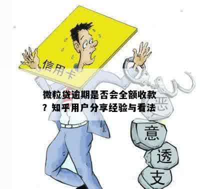 微粒贷逾期是否会全额收款？知乎用户分享经验与看法