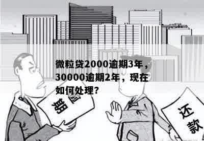 微粒贷2000逾期3年，30000逾期2年，现在如何处理?