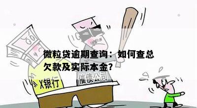 微粒贷逾期查询：如何查总欠款及实际本金？