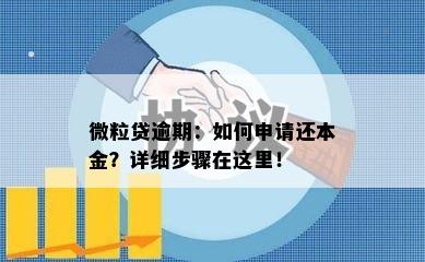 微粒贷逾期：如何申请还本金？详细步骤在这里！