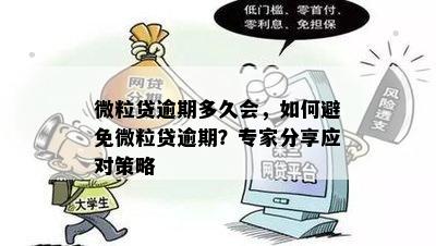 微粒贷逾期多久会，如何避免微粒贷逾期？专家分享应对策略