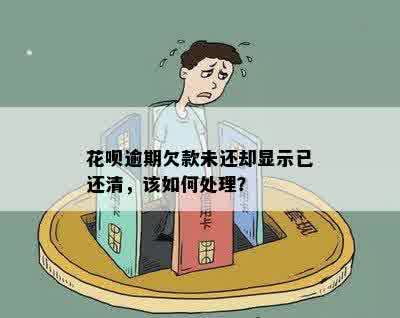 花呗逾期欠款未还却显示已还清，该如何处理？