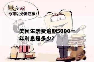 美团生活费逾期5000一年利息是多少？