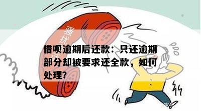 借呗逾期后还款：只还逾期部分却被要求还全款，如何处理？