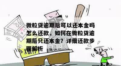 微粒贷逾期后可以还本金吗怎么还款，如何在微粒贷逾期后只还本金？详细还款步骤解析