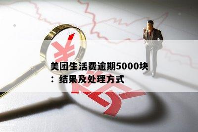 美团生活费逾期5000块：结果及处理方式