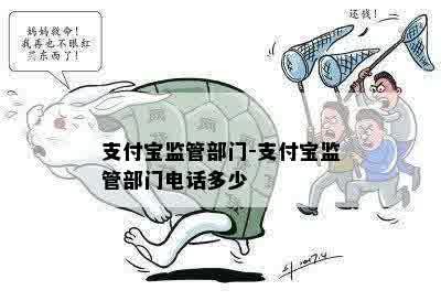 支付宝监管部门-支付宝监管部门电话多少