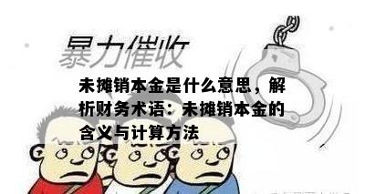 未摊销本金是什么意思，解析财务术语：未摊销本金的含义与计算方法