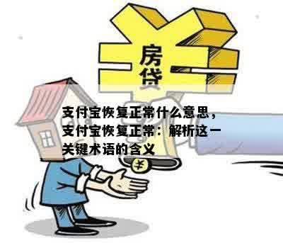 支付宝恢复正常什么意思，支付宝恢复正常：解析这一关键术语的含义