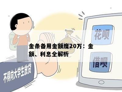 金条备用金额度20万：金额、利息全解析