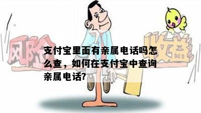 支付宝里面有亲属电话吗怎么查，如何在支付宝中查询亲属电话？