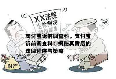 支付宝诉前调查科，支付宝诉前调查科：揭秘其背后的法律程序与策略