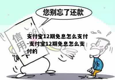 支付宝12期免息怎么支付-支付宝12期免息怎么支付的