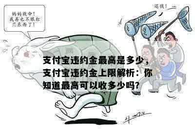 支付宝违约金更高是多少，支付宝违约金上限解析：你知道更高可以收多少吗？