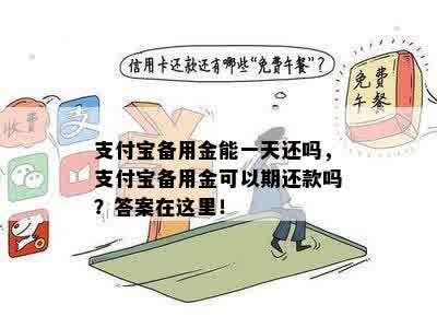 支付宝备用金能一天还吗，支付宝备用金可以期还款吗？答案在这里！