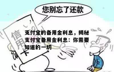 支付宝的备用金利息，揭秘支付宝备用金利息：你需要知道的一切