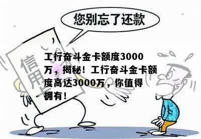 工行奋斗金卡额度3000万，揭秘！工行奋斗金卡额度高达3000万，你值得拥有！