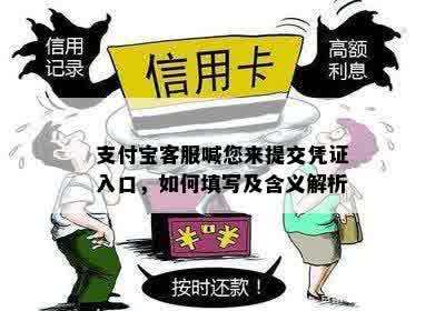 支付宝客服喊您来提交凭证入口，如何填写及含义解析