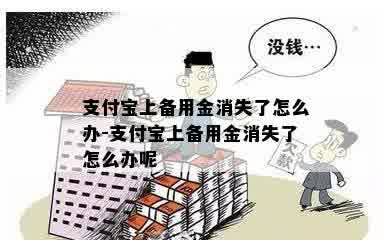 支付宝上备用金消失了怎么办-支付宝上备用金消失了怎么办呢