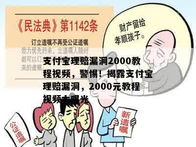 支付宝理赔漏洞2000教程视频，警惕！揭露支付宝理赔漏洞，2000元教程视频大曝光