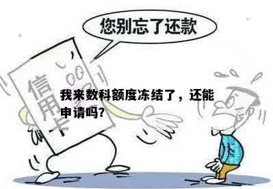 我来数科额度冻结了，还能申请吗？