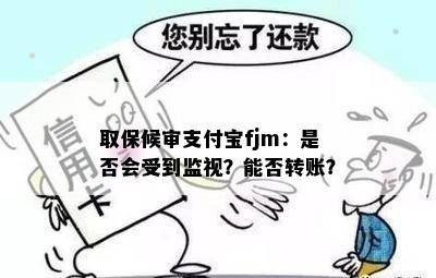 取保候审支付宝fjm：是否会受到监视？能否转账？