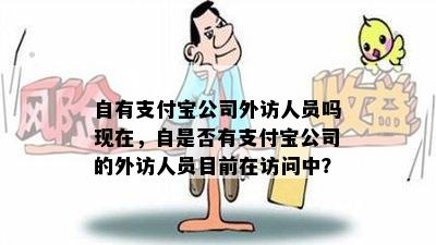 自有支付宝公司外访人员吗现在，自是否有支付宝公司的外访人员目前在访问中？