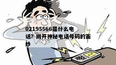 02195566是什么电话？揭开神秘电话号码的面纱