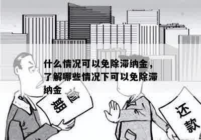 什么情况可以免除滞纳金，了解哪些情况下可以免除滞纳金