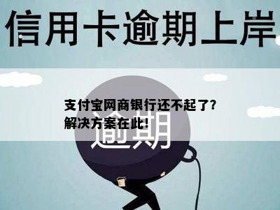 支付宝网商银行还不起了？解决方案在此！