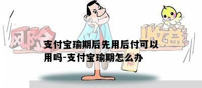 支付宝瑜期后先用后付可以用吗-支付宝瑜期怎么办