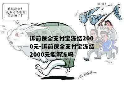 诉前保全支付宝冻结2000元-诉前保全支付宝冻结2000元能解冻吗